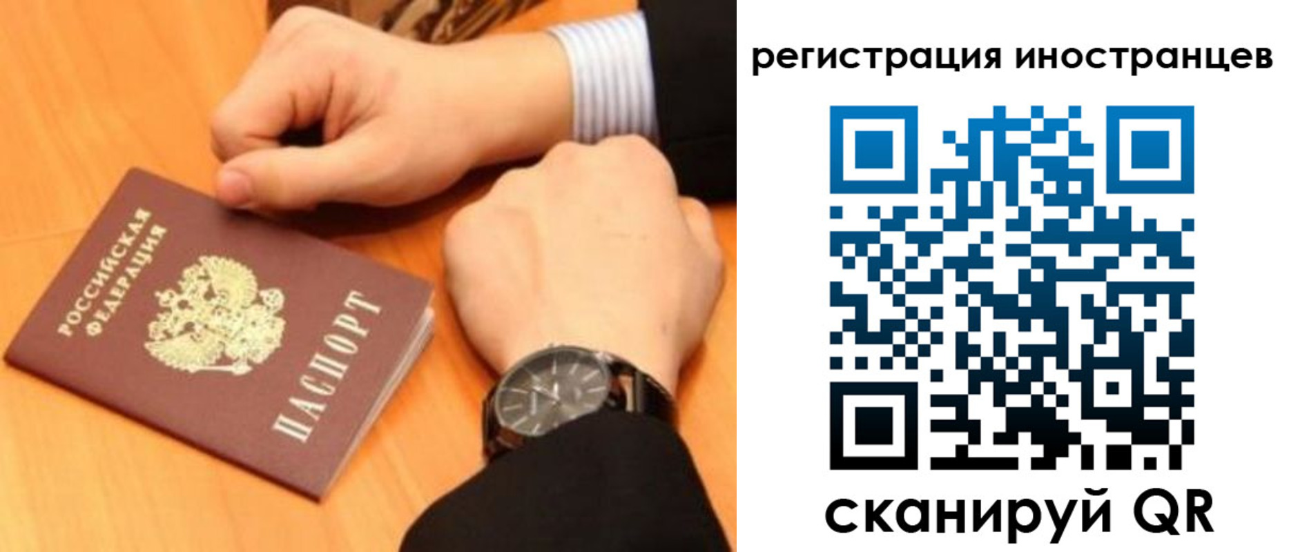 прописка гарантия в Ипатово